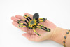 Giant Tarantula Spider, Arachnida, Museum Quality, Educational, Hand Painted, Rubber Insect, Diorama Model, Realistic, Kids, Toys,  5 Inches. 
