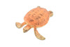 Turtle, Orange Sea Turtle, Young, Museum Quality, Hand Painted, Rubber  Reptile, Realistic Toy Figure, Model, Replica, Kids, Educational, Gift,    3 1/2"    CH248 BB123