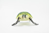 Turtle, Green Sea Turtle, Museum Quality, Hand Painted, Rubber  Reptile, Realistic Toy Figure, Model, Replica, Kids, Educational, Gift,    3"     CH249 BB123