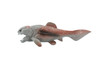 Dunkleosteus, Prehistoric Fish, Dinosaur, Museum Quality, Rubber Fish, Hand Painted, Realistic Toy Figure, Diorama Model, Kids, Educational,  5 Inches.