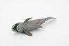 Dunkleosteus, Prehistoric Fish, Dinosaur, Museum Quality, Rubber Fish, Hand Painted, Realistic Toy Figure, Diorama Model, Kids, Educational,  5 Inches.