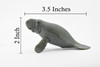 Manatee, Sea Cow, Dugongs, Marine Mammal, Very Nice Design, Hand Painted, Educational, Rubber Diorama Model, Realistic Toy Figure, Kids,  3 1/2 Inches.