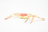 Crab, Spider Crab, Museum Quality, Hand Painted, Rubber Crustaceans, Realistic Toy Figure, Model, Replica, Kids, Educational, Gift,    7"    CH271 BB124