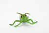 Grasshopper, Caelifera, Museum Quality, Rubber Insect, Hand Painted, Realistic Toy Figure, Diorama Model, Kids, Educational, 3 1/2 Inches. 
