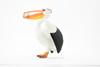 Pelican with Fish, American white pelican, Museum Quality, Educational, Hand Painted, Rubber Bird, Realistic Toy Figure, Diorama Model, Kids, 4 Inches.