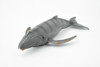 Gray Whale, Grey Back, Marine Mammal, Museum Quality, Hand Painted, Educational, Rubber Animal, Realistic, Diorama Model, Kids, 7 1/2 Inches. 