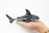 Shark, Great White Shark, Museum Quality, Hand Painted, Rubber Fish, Realistic Toy Figure, Model, Replica, Kids, Educational, Gift,     8"     CH287 BB127