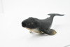 Whale, Grey Whale, Museum Quality, Hand Painted, Rubber Marine Mammal, Realistic Toy Figure, Model, Replica, Kids, Educational, Gift,     7"     CH288 BB127