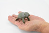 Manatee, Sea Cow, Dugongs, Marine Mammal, Museum Quality, Hand Painted, Educational, Rubber, Diorama Model, Realistic Toy Figure, Kids, 3 1/2 Inches.  