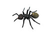 Black Ant, Myrmicinae, Museum Quality, Educational, Hand Painted, Rubber Insect, Realistic Toy Figure, Diorama Model, Kids,  3 Inches.