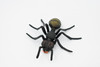 Black Ant, Myrmicinae, Museum Quality, Educational, Hand Painted, Rubber Insect, Realistic Toy Figure, Diorama Model, Kids,  3 Inches.
