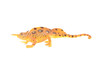 Lizard, Desert Horned Chameleon, Namaqua, Museum Quality, Hand Painted, Rubber Reptile, Educational, Realistic, Lifelike, Educational, Gift,       6"      CH302 BB129