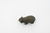 Wombat, Museum Quality, Hand Painted, Rubber Marsupials, Realistic Toy Figure, Model, Replica, Kids, Educational, Gift,       2 1/2"     CH305 BB129