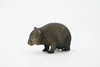 Wombat, Marsupial Animal, Very Nice Design, Hand Painted, Educational, Rubber Animal, Realistic Toy Figure, Diorama Model, Kids,  2 1/2 Inches.