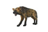Spotted Hyena, Crocuta crocuta, Museum Quality, Hand Painted, Educational, Rubber Animal, Realistic Toy Figure, Diorama Model, Kids,  3 1/2 Inches.
