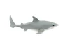 Great White, G.W. Shark, Young, Museum Quality, Hand Painted, Educational, Rubber Fish, Diorama Model, Replica, Realistic Toy Figure, Kids,  5 1/2 Inches.