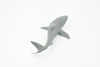 Great White, G.W. Shark, Young, Museum Quality, Hand Painted, Educational, Rubber Fish, Diorama Model, Replica, Realistic Toy Figure, Kids,  5 1/2 Inches.