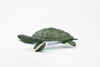 Turtle, Green Sea Turtle, Museum Quality, Hand Painted, Rubber Reptile, Realistic Toy Figure, Model, Replica, Kids, Educational, Gift,     4"     CH319 BB131