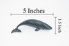 Sperm Whale Baby, Cetacean, Marine Mammal, Museum Quality, Hand Painted, Rubber Animal, Realistic Toy Figure, Model, Educational,  5 Inches.  