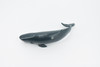 Whale, Sperm Whale Baby, Cetacean, Marine Mammal, Museum Quality, Hand Painted, Rubber Animal, Realistic Toy Figure, Model, Educational, Gift,       5"     CH322 BB132