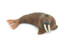 Walrus, Pinniped, Marine Mammal, Museum Quality, Educational, Hand Painted, Rubber, Realistic Toy Figure, Diorama Model, Replica, Kids,  5 Inches.