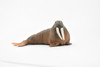 Walrus, Pinniped Marine Mammal, Museum Quality, Hand Painted, Rubber, Realistic Toy Figure, Model, Replica, Kids, Educational, Gift,        5"      CH327 BB132