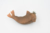 Walrus, Pinniped, Marine Mammal, Museum Quality, Educational, Hand Painted, Rubber, Realistic Toy Figure, Diorama Model, Replica, Kids,  5 Inches.