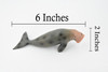 Dugongs, Manatee, Sea Cow, Marine Mammal, Museum Quality, Hand Painted, Educational, Rubber, Diorama Model, Realistic Toy Figure, Kids,  6 Inches.
