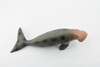 Dugongs, Manatee, Sea Cow, Museum Quality, Hand Painted, Very Realistic Rubber Mammal, Model, Educational, Gift,       6"     CH329 BB133