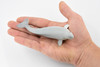 Beluga Baby Whale, White Whale, Calf, Museum Quality, Rubber, Hand Painted, Realistic Toy Figure, Model, Replica, Kids, Educational,  5 Inches.