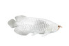Arowana, Silver Dragon Fish, Asian Arowana, Rubber Fish, Hand Painted, Realistic Toy Figure, Model, Replica, Kids, Educational, Gift,     5"    CH334 BB133