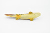 Fish, Bowfin Fish, Barred Bichir, Museum Quality, Hand Painted, Rubber Fish, Realistic Toy Figure, Model, Replica, Kids, Educational, Gift,     7"    CH336 BB133