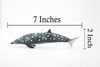 Blainville's Beaked Whale, Marine Mammal, Museum Quality, Hand Painted, Educational, Rubber Animal, Realistic Toy Figure, Diorama Model, Kids, 7 Inches. 