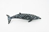 Whale, Blainvilles Beaked Whale, Cetacean, Marine Mammal, Museum Quality, Hand Painted, Rubber, Toy Figure, Model, Educational, Gift,       7"     CH339 BB134