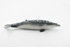 Whale, Blainvilles Beaked Whale, Cetacean, Marine Mammal, Museum Quality, Hand Painted, Rubber, Toy Figure, Model, Educational, Gift,       7"     CH339 BB134