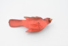 Northern Cardinal, Cardinal grosbeak, Museum Quality, Educational, Hand Painted, Rubber Bird, Realistic Toy Figure, Diorama Model, Replica, Kids,  5 Inches. 