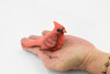 Bird, Northern Cardinal,  Museum Quality, Hand Painted, Rubber, Realistic Toy Figure, Model, Replica, Kids, Educational, Gift,       5"     CH342 BB134