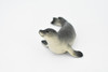 Seal, Fur Seal, Pinnipeds, Museum Quality, Hand Painted, Realistic Rubber Toy Figure, Model, Replica, Kids, Educational, Gift,      4"    CH345 BB134