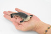 Fur Seal, Pinnipeds, Marine Mammal, Museum Quality, Hand Painted, Educational, Rubber Fish, Diorama Model, Replica, Realistic Toy Figure, Kids,  4 Inches.