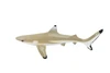 Black Tip Reef Shark, Museum Quality, Hand Painted,  Rubber Fish,  Educational, Diorama Model, Replica, Realistic Toy Figure, Kids,  6 Inches.