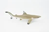 Black Tip Reef Shark, Museum Quality, Hand Painted,  Rubber Fish,  Educational, Diorama Model, Replica, Realistic Toy Figure, Kids,  6 Inches.