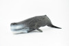 Sperm Whale, Cetacean, Marine Mammal, Museum Quality, Hand Painted, Rubber, Toy Figure, Diorama Model, Educational, 11 Inches. 