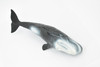 Whale, Sperm Whale, Cetacean, Marine Mammal, Museum Quality, Hand Painted, Rubber, Toy Figure, Model, Educational, Gift,       11"     CH349 BB135