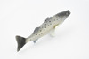 Fish, Speckled Seatrout, Spotted Sea Trout, Museum Quality, Hand Painted, Rubber Fish, Realistic Toy Figure, Model, Replica, Kids, Educational, Gift,       7"      CH352 BB136