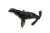 Sea Lion, Female,  Museum Quality, Hand Painted, Rubber Pinnipeds, Realistic Toy Figure, Diorama Model, Replica, Kids, Educational,  4 1/2 Inches.