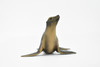 Sea Lion, Female, Pinnipeds, Marine Mammal, Museum Quality, Hand Painted, Educational, Rubber Fish, Diorama Model, Realistic Toy Figure, Kids, Gift,    4 1/2 Inches.