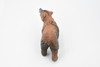 Bear, Brown Bear, Grizzly, Museum Quality, Hand Painted, Rubber Animal, Realistic Toy Figure, Model, Replica, Kids, Educational, Gift,      4 1/2"      CH358 BB137