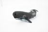 Whale, Sperm Whale, Cetacean, Marine Mammal, Museum Quality, Hand Painted, Rubber, Toy Figure, Model, Educational, Gift,      8"     CH365 BB138