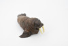 Walrus, Pinniped Marine Mammal, Museum Quality, Hand Painted, Rubber, Realistic Toy Figure, Model, Replica, Kids, Educational, Gift,        5"      CH367 BB138