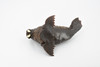 Walrus, Pinniped Marine Mammal, Museum Quality, Hand Painted, Rubber, Realistic Toy Figure, Model, Replica, Kids, Educational, Gift,        5"      CH367 BB138